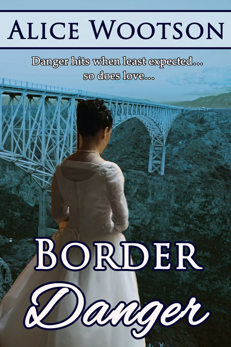 Border Danger: softcover