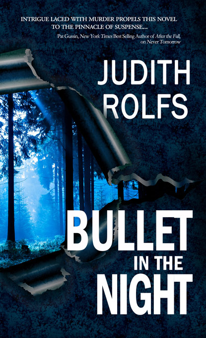 Bullet in the Night (softcover)