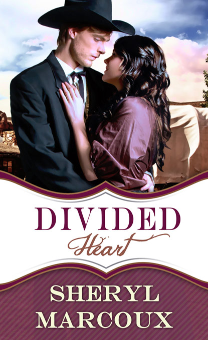 Divided Heart: Softcover