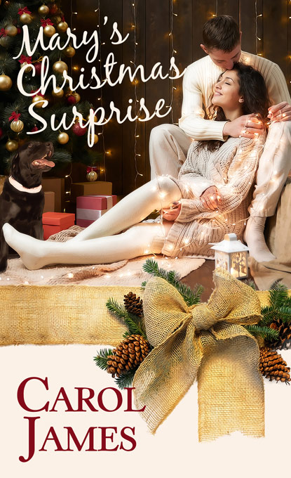(image for) Mary's Christmas Surprise