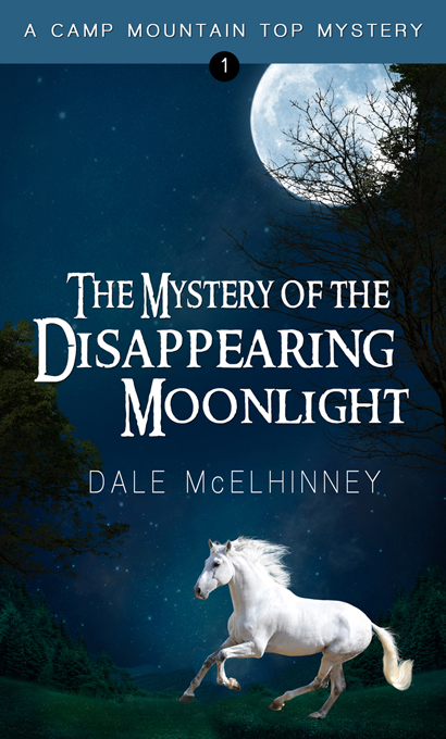 The Mystery of the Disappearing Moonlight: softcover