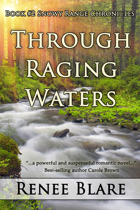 Through Raging Waters: softcover