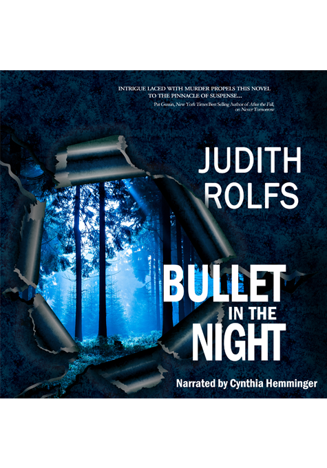 Bullet in the Night (audiobook)